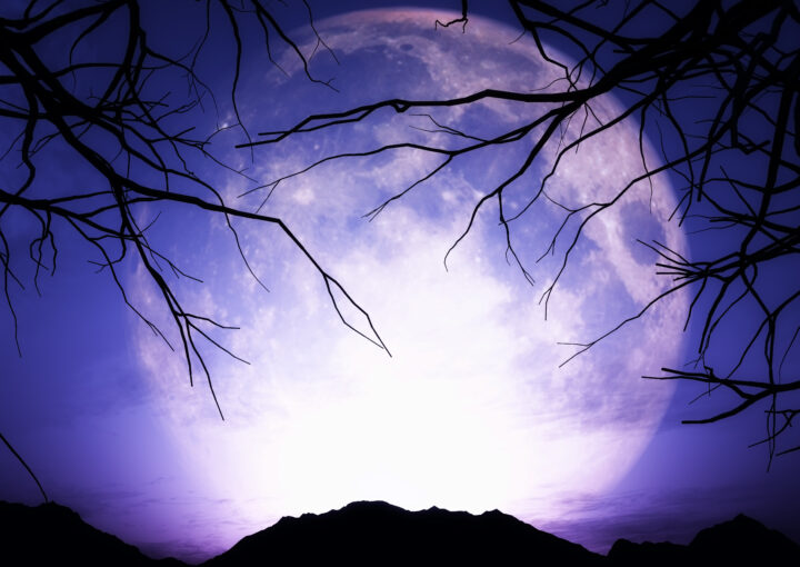 A purple night with a giant moon in the background and leafless trees.